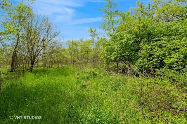 561 S Drive Drive S, Elgin, IL 60177 - view of tree filled area