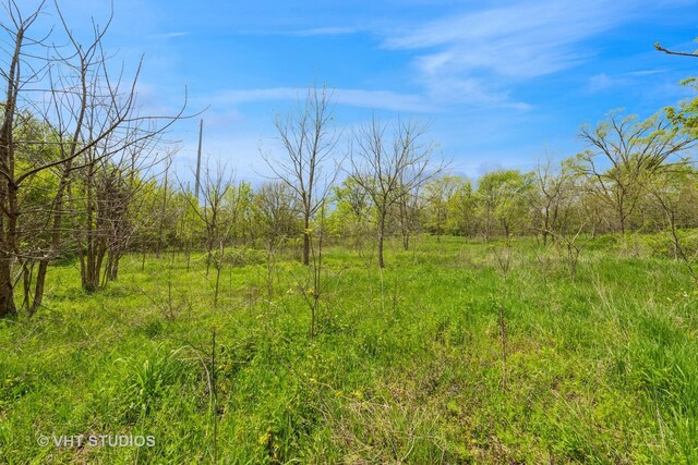 561 S Drive Drive S, Elgin, IL 60177 - view of nature