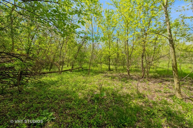 561 S Drive Drive S, Elgin, IL 60177 - view of woods