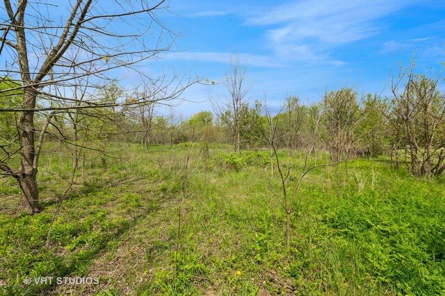 561 S Drive Drive S, Elgin, IL 60177 - view of local wilderness