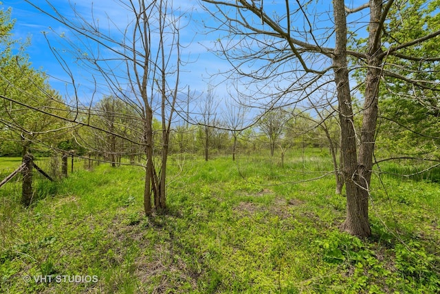 561 S Drive Drive S, Elgin, IL 60177 - view of woods