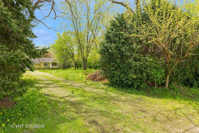 561 S Drive Drive S, Elgin, IL 60177 - view of grassy yard with dirt driveway