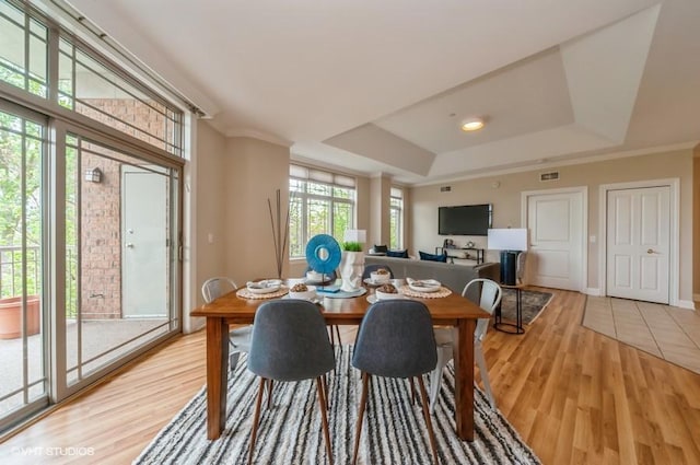 40 Prairie Park Dr Unit 206, Wheeling, IL 60090 - dining room featuring a raised ceiling, light wood finished floors, and crown molding