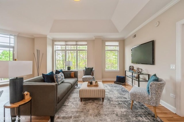 40 Prairie Park Dr Unit 206, Wheeling, IL 60090 - living room featuring wood finished floors, a tray ceiling, crown molding, and baseboards