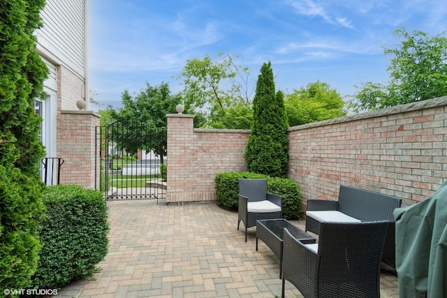 12116 Winterberry Ln, Plainfield, IL 60585 - view of patio with a gate and outdoor lounge area