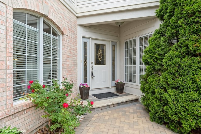 12116 Winterberry Ln, Plainfield, IL 60585 - view of exterior entry with brick siding