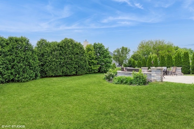 12116 Winterberry Ln, Plainfield, IL 60585 - view of green lawn with a patio area
