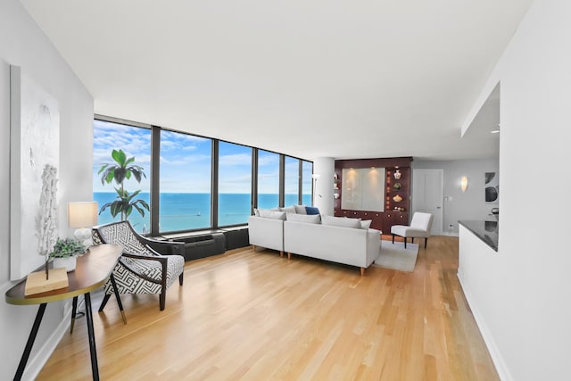 505 N Lake Shore Dr Unit 6304-6305, Chicago, IL 60611 - living area with light wood finished floors, a water view, and baseboards