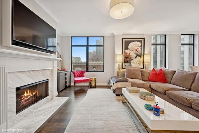 1122 N Dearborn St Unit 10A, Chicago, IL 60610 - living room featuring baseboards, dark wood-style flooring, ornamental molding, and a fireplace