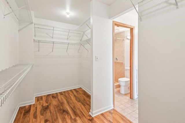101 Bar Harbour Rd Unit 6N, Schaumburg, IL 60193 - walk in closet with wood finished floors