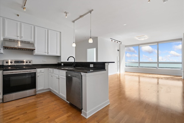kitchen featuring stainless steel appliances, under cabinet range hood, track lighting, and a sink