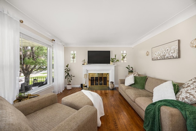 1612 Gardner Rd, Westchester, IL 60154 - living room with wood finished floors and a glass covered fireplace