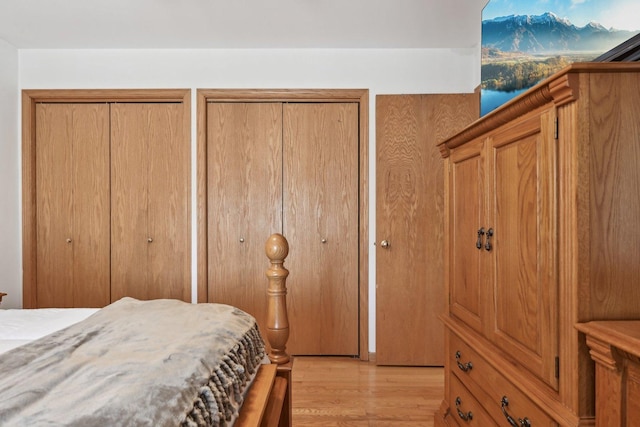 2740 W 35th Pl, Chicago, IL 60632 - bedroom with light wood-style flooring and two closets