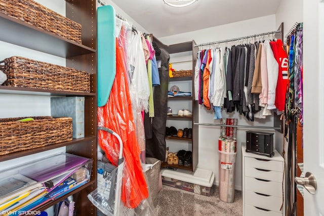 spacious closet featuring carpet floors