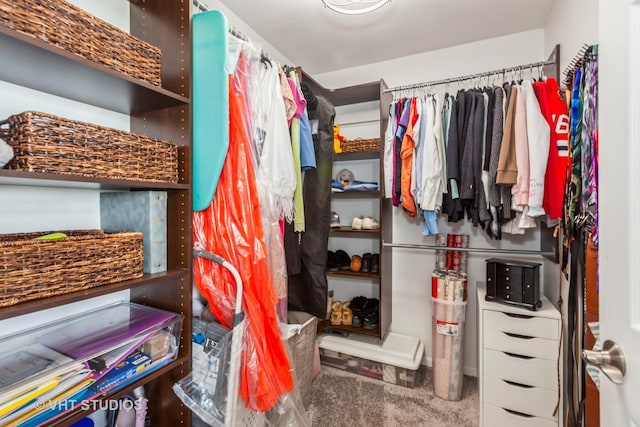 2000 Saint Regis Dr Unit 6F, Lombard, IL 60148 - walk in closet with carpet floors