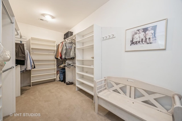 444 Ashland Ave Unit 5, River Forest, IL 60305 - walk in closet with carpet