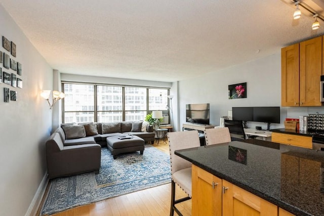 2930 N Sheridan Rd Unit 1008, Chicago, IL 60657 - living room featuring light wood-style flooring, a textured ceiling, a desk, and track lighting