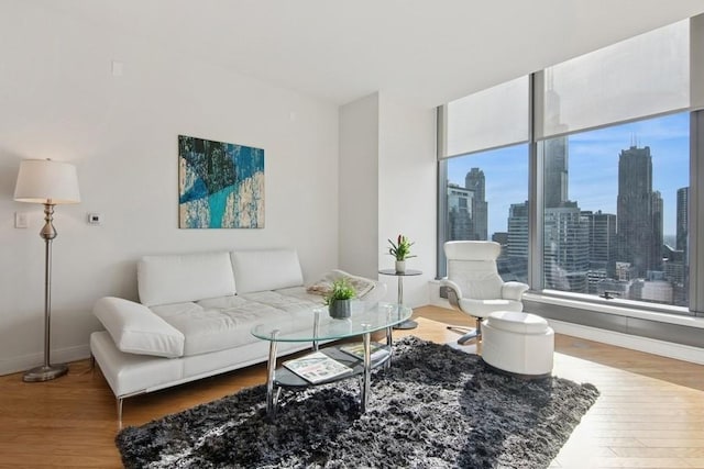 living room featuring baseboards, a city view, and wood finished floors
