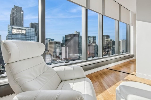 living room with baseboards, a city view, and wood finished floors