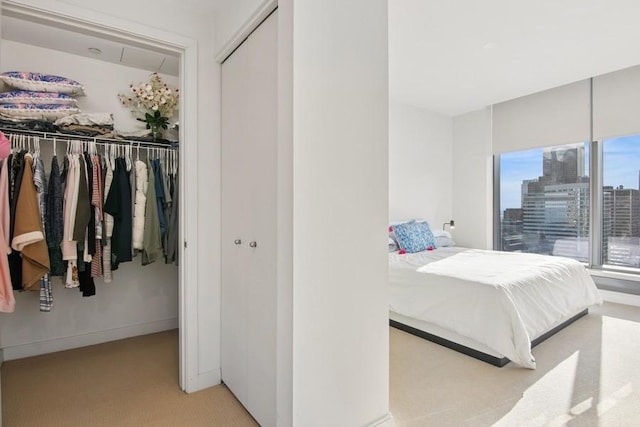 carpeted bedroom featuring a closet and a view of city