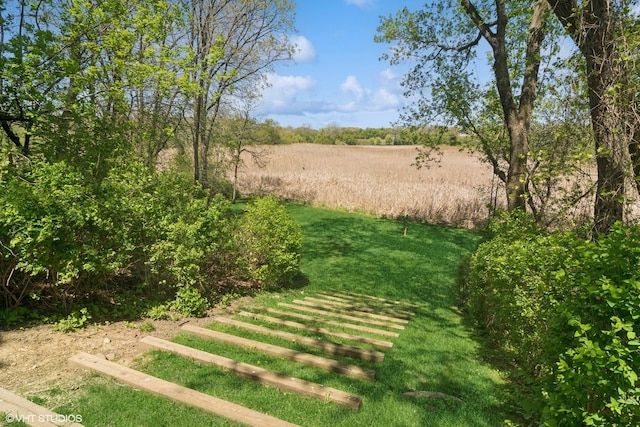 view of grassy yard