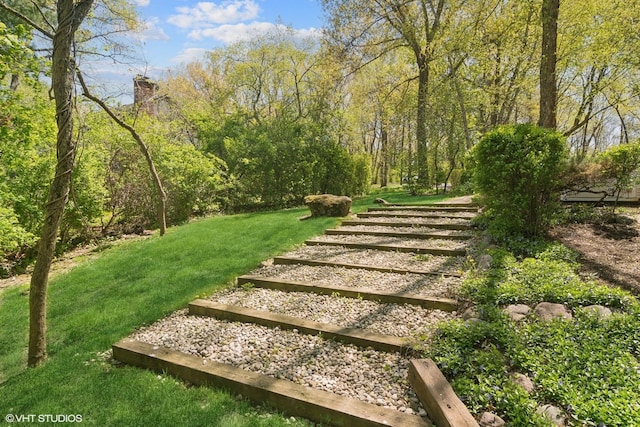 view of grassy yard