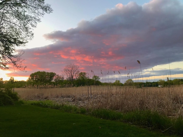 view of yard at dusk