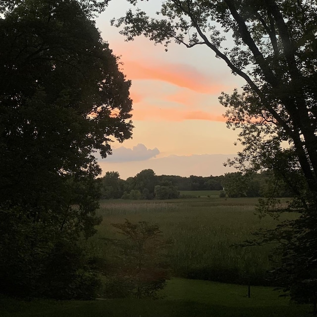 view of local wilderness