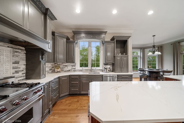 kitchen featuring stainless steel appliances, crown molding, custom exhaust hood, and plenty of natural light