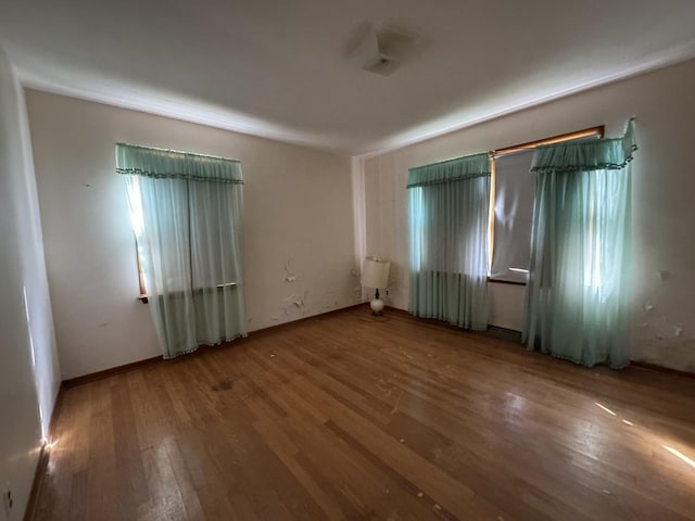 interior space with wood finished floors