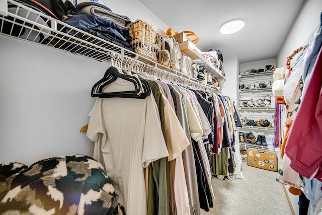 100 N Bokelman St Unit 430, Roselle, IL 60172 - spacious closet with carpet floors
