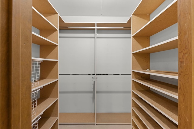 1624 Mirror Lake Dr, Naperville, IL 60563 - view of spacious closet