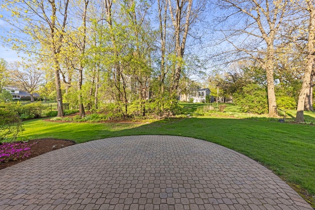 1624 Mirror Lake Dr, Naperville, IL 60563 - view of patio / terrace