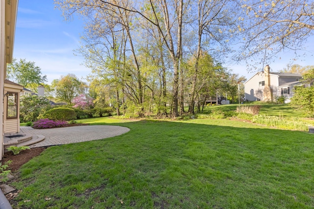 1624 Mirror Lake Dr, Naperville, IL 60563 - view of grassy yard