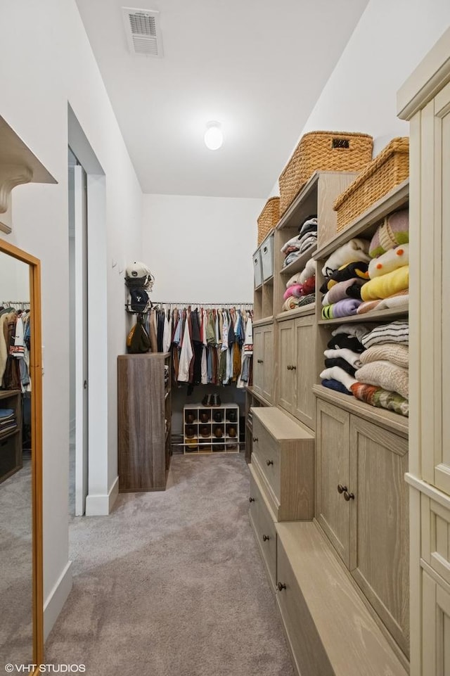 spacious closet with light colored carpet