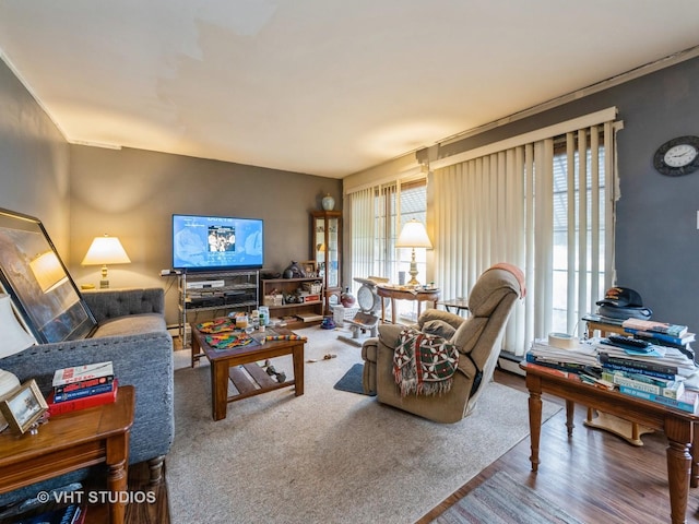 living area featuring wood finished floors
