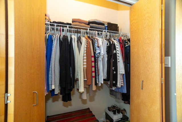 view of walk in closet