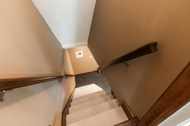 stairway with carpet flooring