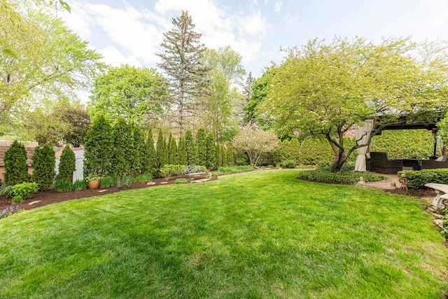 view of green lawn
