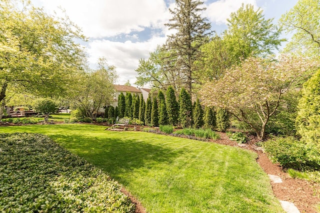 view of green lawn