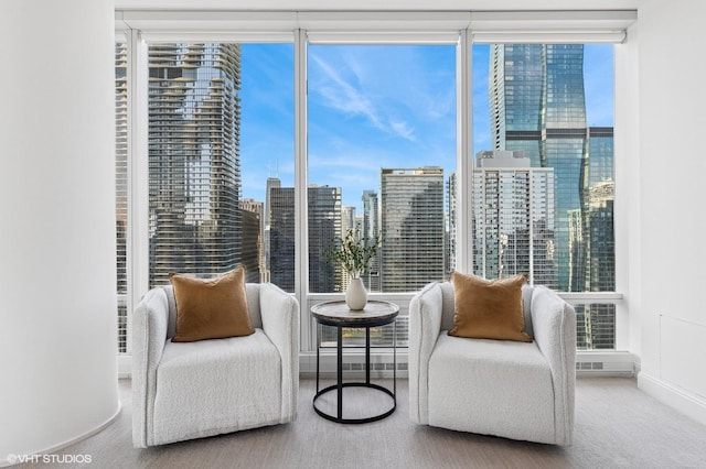 sitting room featuring baseboards, carpet floors, and a view of skyline