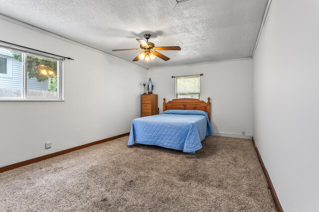 2503 Maplewood Dr, Champaign, IL 61821 - bedroom featuring multiple windows, carpet, a textured ceiling, baseboards, and a ceiling fan