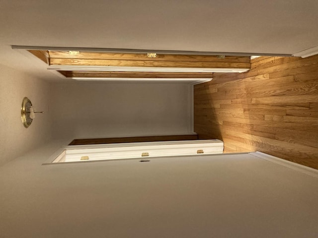 corridor featuring wood walls