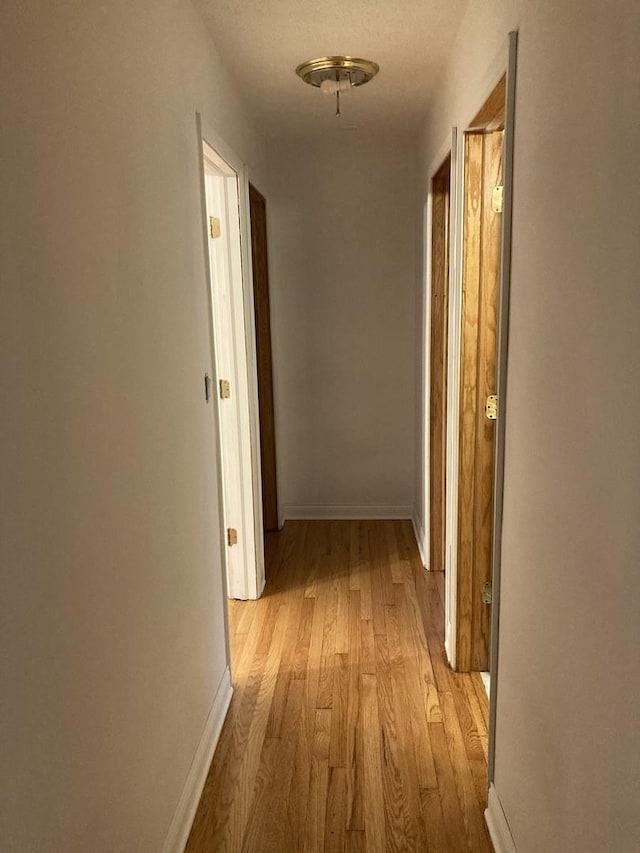 303 N School St, Mount Prospect, IL 60056 - hall featuring light wood-style flooring and baseboards