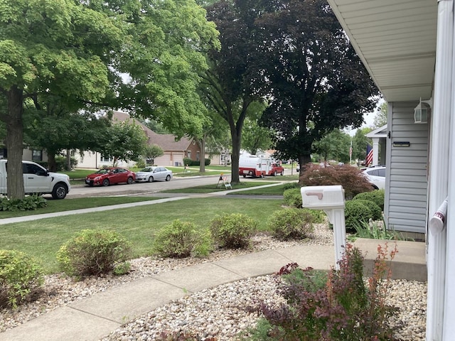 view of yard