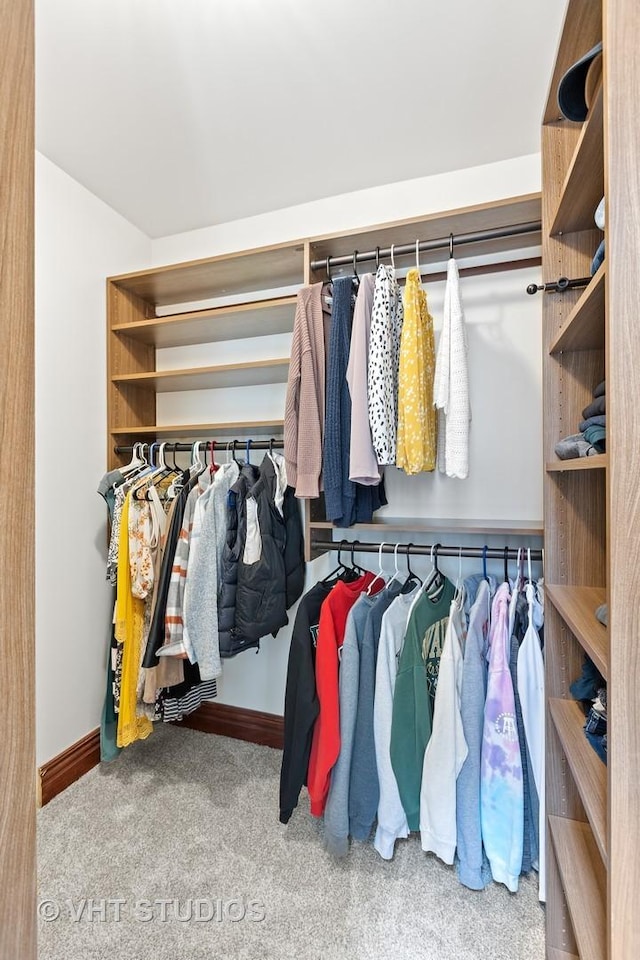 spacious closet with carpet