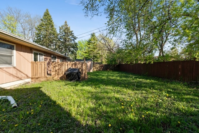 165 Ross Ave, South Elgin, IL 60177 - view of yard
