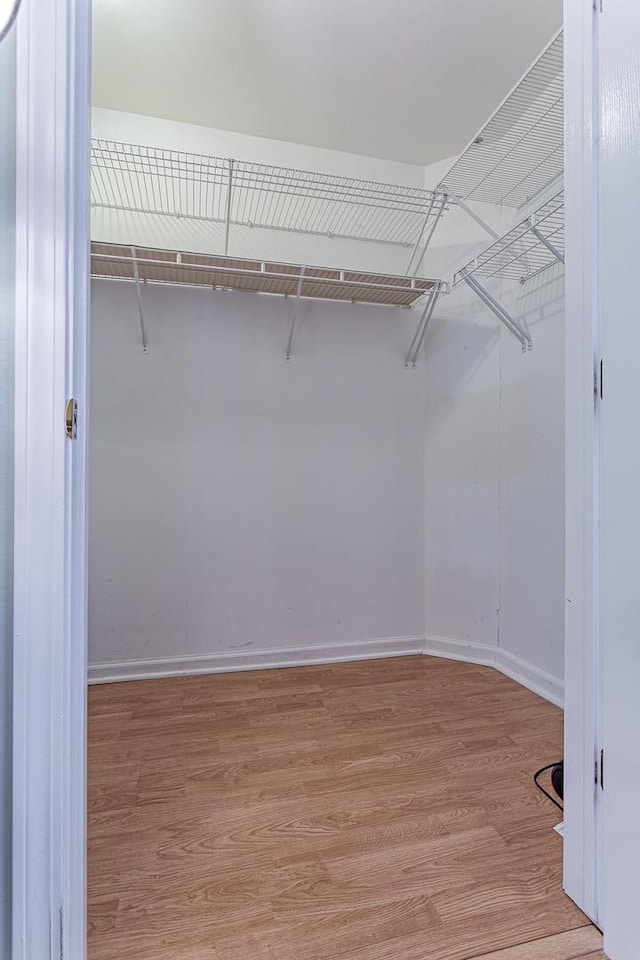spacious closet featuring light wood finished floors