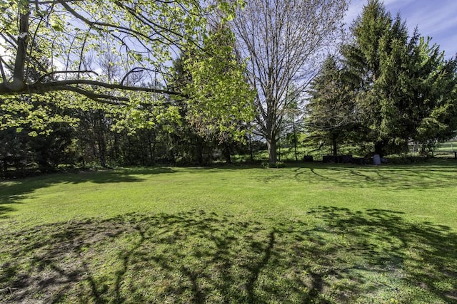 3128 Frans Ct, Winthrop Harbor, IL 60096 - view of grassy yard