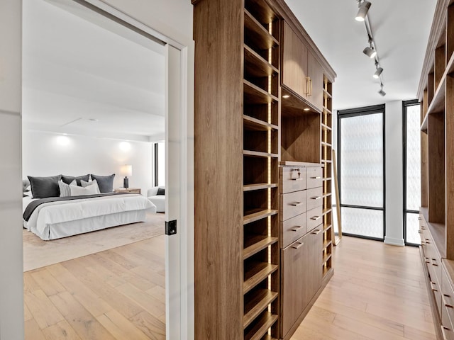 spacious closet featuring light wood finished floors